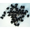 Propolis softgel
