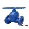 Gate Valve BS5163