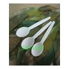Single Use Biodegradable Tableware/Cutlery