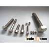 Titanium screws