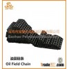 API Standard Transmission Chains for Oil Drilling Rig