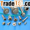Stainless Steel Screws