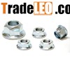 Hex Flange Nuts