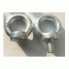 Forged Eye Bolt