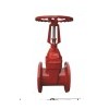 Rising stem resilient soft seated gate valve BS stand
