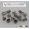Optical Eyewire and Hinge Screw