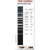 1 kb DNA ladder