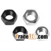 Hex Nuts