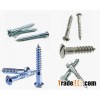 Self Tapping Screw