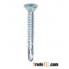 TEK screw with wings