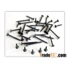 bugle head phillips drywall screw