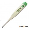 Electronic thermometer