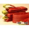 Polyester Webbing Sling