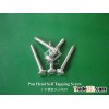 Self Tapping Screw