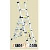 combi--telescopic ladder