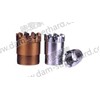 PDC coring bits