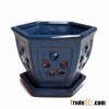 orchid pot