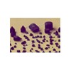 TSP for Diamond Drill Bit