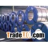 Galvanized Steel Coils