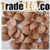 breakfast cereals processing equipment