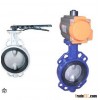 butterfly valve