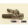 titanium hex flange bolts