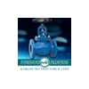 Cast Iron Globe Valve,PN 16 BS