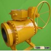 Trunnion mounted ball valve