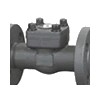 Forged steel Check Valve