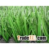Sports Grass Football-WF-B-312000