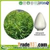 Andrographis Paniculata Extract, Andrographolide