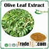 Olive Leaf Extract, Oleuropein, Hydroxytyrosol