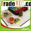 Free Design Project Indoor Trampoline Basketball Court for C