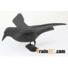 Painted flying crow decoys