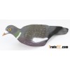 Painted half shell pigeon decoys