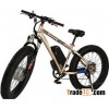 S19 Fat Tire Mountain Electric Bicycle