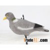 Flocked full body pigeon decoys