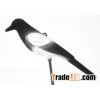 Flocked magpie decoys