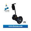 Focxess Two Wheel Self Balance Electric Scooter like Segway