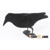 Flocked full body crow decoys