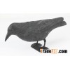 Painted crow decoys