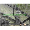 Stainless Steel Welded Mesh Zoo fence