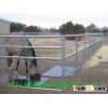 Stainless Steel Welded Wire Mesh Fence