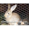 Rabbit Fence