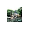 Dinosaur Park Lifesize Animatronic Dinosaur Model
