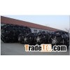 Pneumatic rubber fender