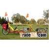 Two person Recumbent Trike