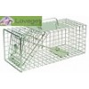 Squirrel Traps