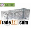 Raccoon Traps