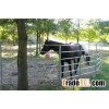 Horse fence